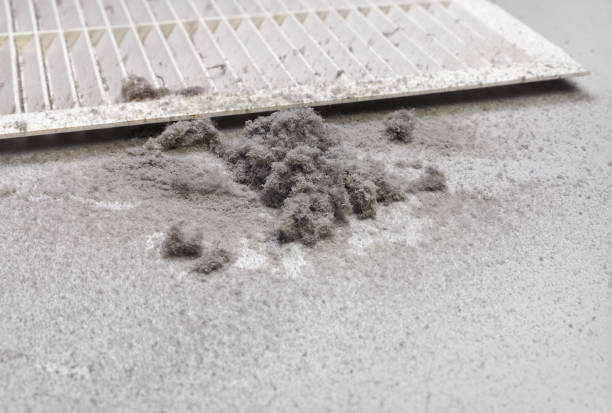 Best Affordable Air Duct Cleaning  in Diamond Springs, CA