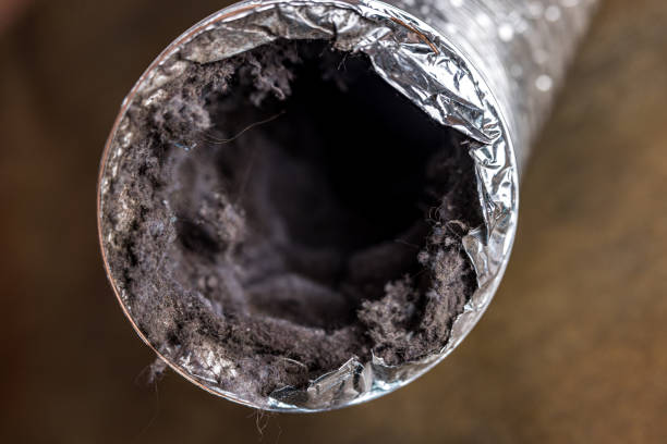 Best HVAC Air Duct Cleaning  in Diamond Springs, CA